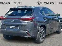Used Lexus UX 300h 199 HP (146 kW) 2026 Grey SUV