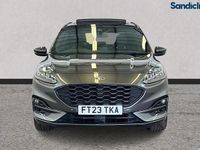 Used Ford Kuga ST-Line X 190 HP (139 kW) 2023 Grey SUV