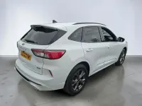 Used Ford Kuga ST-Line 225 HP (165 kW) 2022 White SUV