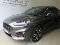Used Ford Kuga ST-Line X 150 HP (110 kW) 2021 SUV