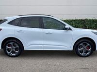 Used Ford Kuga ST-Line 224 HP (164 kW) 2020 SUV