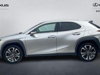 Usado Lexus UX 250h 184 CV (135 kW) 2024 SUV