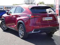 Used Lexus NX300h 194 HP (142 kW) 2019 Red SUV