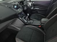 Used Ford Kuga ST-Line 150 HP (110 kW) 2019 White SUV