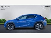 Used Lexus UX 250h 2023 Blue SUV