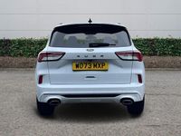 Used Ford Kuga ST-Line 2024 White SUV