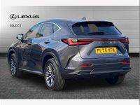 Used Lexus NX350h 243 HP (178 kW) 2025 Grey SUV