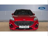 Used Ford Kuga ST-Line X 225 HP (165 kW) 2022 Red SUV