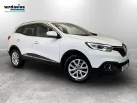 Usado Renault Kadjar Dynamique 2019 Branco SUV