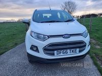 Used Ford Ecosport Zetec 2017 White SUV