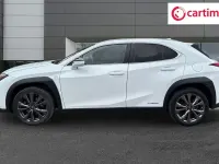 Used Lexus UX 250h Sport Line 2020 White SUV