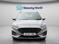 Used Ford Kuga ST-Line X 190 HP (139 kW) 2023 Silver SUV