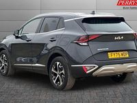 Used Kia Sportage 159 HP (116 kW) 2024 SUV