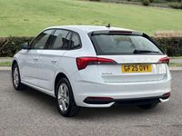 Used Skoda Scala SE 116 HP (85 kW) 2025 White Hatchback