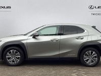 Used Lexus UX 150 kW (204 HP) 2022 SUV