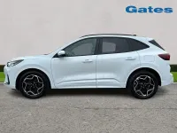Used Ford Kuga ST-Line X 150 HP (110 kW) 2025 White SUV