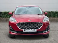 Used Ford Kuga Vignale 190 HP (139 kW) 2023 SUV