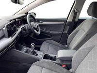 Used VW Golf VIII 150 HP (110 kW) 2023