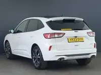 Used Ford Kuga ST-Line X 190 HP (139 kW) 2023 White SUV