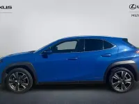 Used Lexus UX 184 HP (135 kW) 2024 SUV