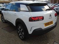 Used Citroën C4 Cactus Flair 110 HP (80 kW) 2020 Hatchback