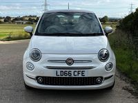 Used Fiat 500 Lounge 69 HP (50 kW) 2016 White Hatchback