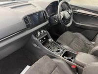 Used Skoda Karoq SE L 150 HP (110 kW) 2025 Moon white metallic SUV