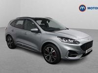 Used Ford Kuga ST-Line X 224 HP (164 kW) 2023 Silver SUV