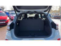 Used Ford Puma ST-Line X 125 HP (91 kW) 2025 Grey SUV