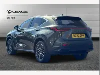 Used Lexus NX350h 245 HP (180 kW) 2024 Green SUV