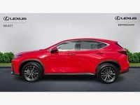 Used Lexus NX350h 2023 Red Estate