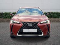 Used Lexus UX 300e 150 kW (204 HP) 2024 Orange SUV