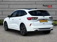 Used Ford Kuga ST-Line X 147 HP (108 kW) 2022 White SUV