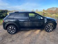 used Citroën C4 Cactus 1.6 BlueHDi Rip Curl 5dr [non Start Stop]