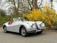 Used Jaguar XK 162 HP (119 kW) 1953 Silver Cabriolet