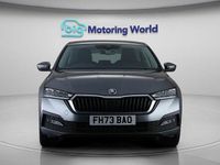 Used Skoda Octavia SE Technology 110 HP (80 kW) 2024 Grey Hatchback