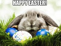 Used Citroën C4 Feel 114 HP (83 kW) 2017 Grey Hatchback