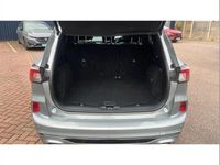 Used Ford Kuga ST-Line X 120 HP (88 kW) 2022 Silver SUV