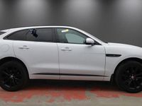 Used Jaguar F-Pace Chequered Flag 180 HP (132 kW) 2020 White SUV