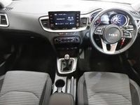 Used Kia XCeed 2024 Green SUV