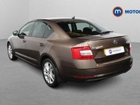 Used Skoda Octavia SE L 150 HP (110 kW) 2019 Brown Hatchback