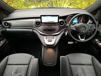 Used Mercedes V220 AMG line 163 HP (119 kW) 2024 Silver MPV