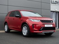 Used Land Rover Discovery Sport S 309 HP (227 kW) 2024 Red SUV