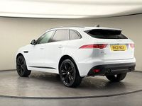 Used Jaguar F-Pace Chequered Flag 250 HP (183 kW) 2020 Exterior paint  yulong white SUV