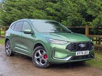 Used Ford Kuga ST-Line 2024 Green SUV