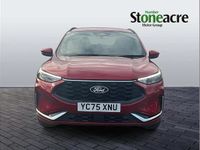 Używany Ford Kuga ST-Line 239 KM (175 kW) 2025 Czerwony SUV