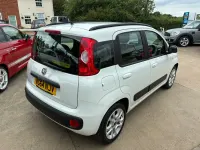 Used Fiat Panda Lounge 69 HP (50 kW) 2015 White Hatchback