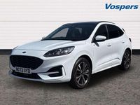 Used Ford Kuga ST-Line X 150 HP (110 kW) 2023 White SUV