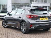 Used Ford Focus Titanium 155 HP (114 kW) 2023 Grey Hatchback