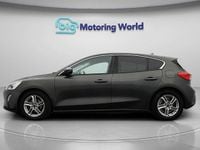 Used Ford Focus Zetec 125 HP (91 kW) 2019 Grey Hatchback